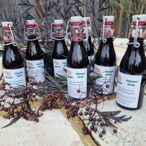 Elderberry Syrup